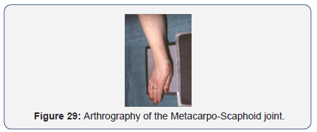 Click here to view Large Figure 29