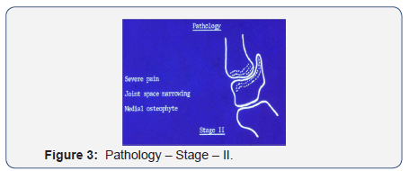 Click here to view Large Figure 3