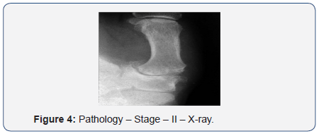 Click here to view Large Figure 4