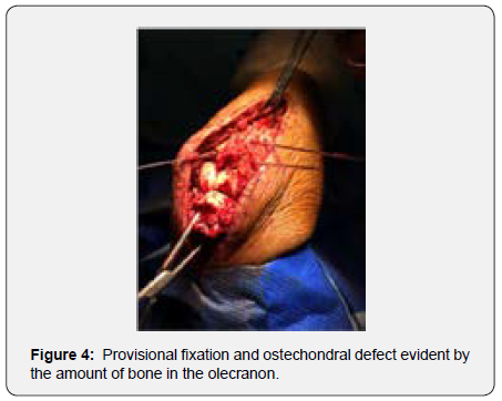 Click here to view Large Figure 3b