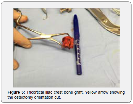 Click here to view Large Figure 3b