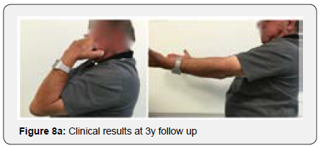 Click here to view Large Figure 8a