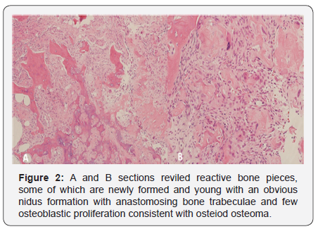 Click here to view Large Figure 2