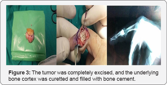 Click here to view Large Figure 3