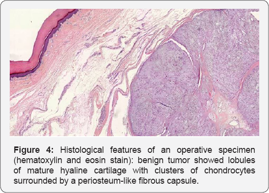 Click here to view Large Figure 4