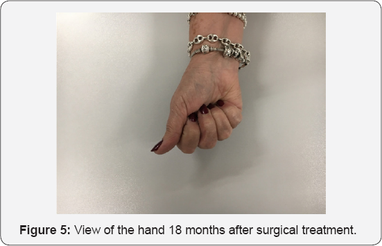 Click here to view Large Figure 2