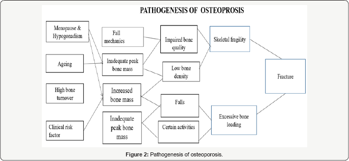 Click here to view Large Figure 2