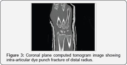Click here to view Large Figure 3