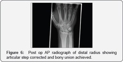 Click here to view Large Figure 6