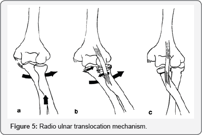 Click here to view Large Figure 5