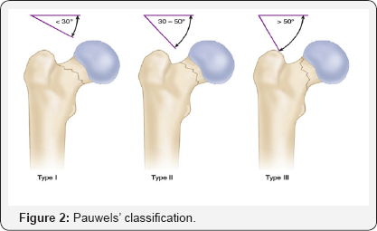 Click here to view Large Figure 2