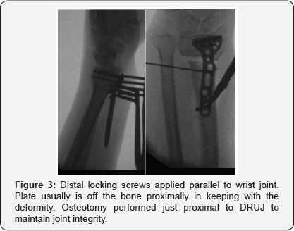 Click here to view Large Figure 3
