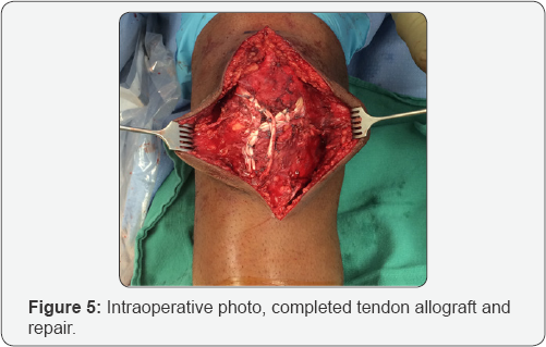 Click here to view Large Figure 5