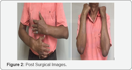 Click here to view Large Figure 2