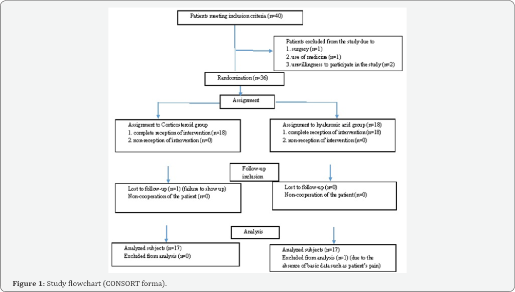 Click here to view Large Figure 1