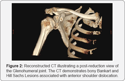 Click here to view Large Figure 2