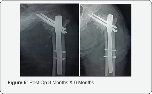 Click here to view Large Figure 5