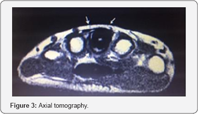 Click here to view Large Figure 3