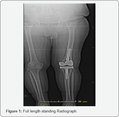 Click here to view Large Figure 1