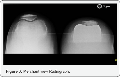 Click here to view Large Figure 3