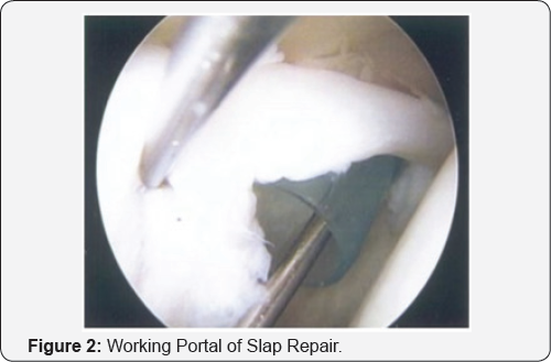 Click here to view Large Figure 2