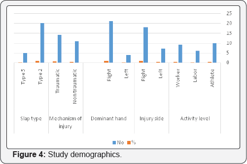 Click here to view Large Figure 4