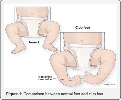 Click here to view Large Figure 1