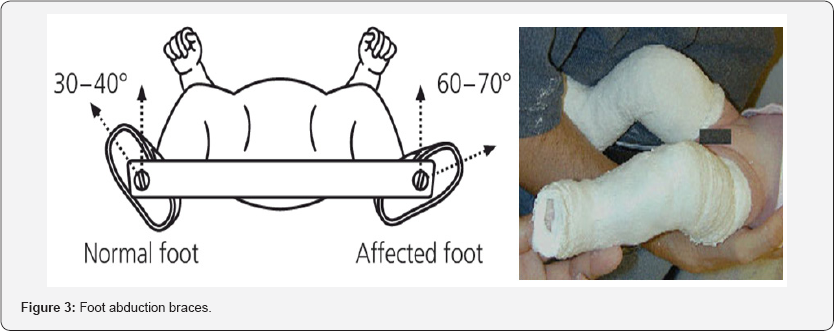Click here to view Large Figure 3