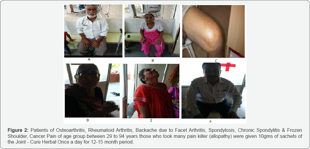 Click here to view Large Figure 1