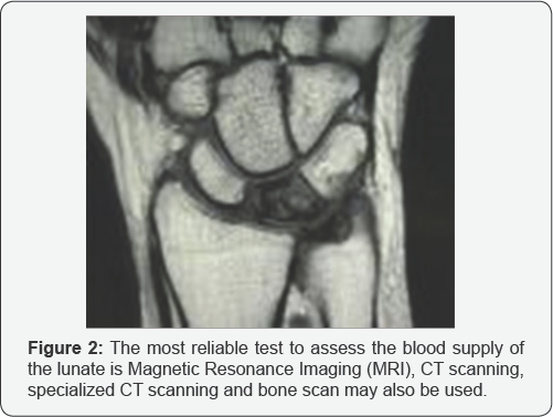 Click here to view Large Figure 2