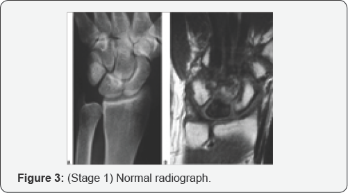 Click here to view Large Figure 3