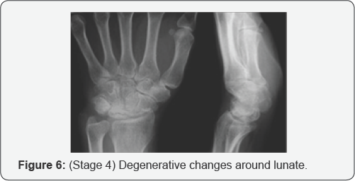 Click here to view Large Figure 6