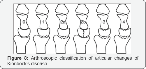 Click here to view Large Figure 8