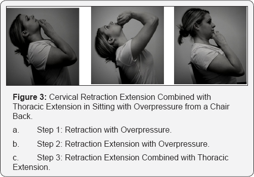 Click here to view Large Figure 1