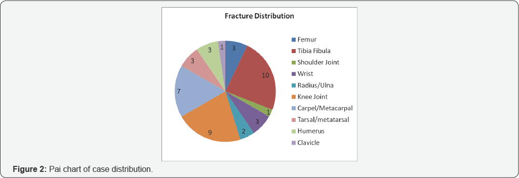 Click here to view Large Figure 1