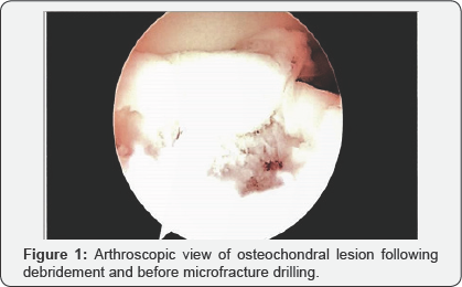 Click here to view Large Figure 1