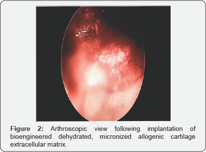 Click here to view Large Figure 2
