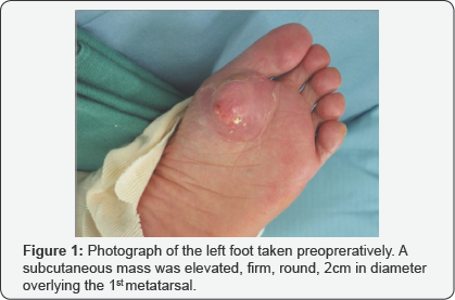 Click here to view Large Figure 1