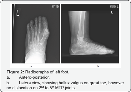 Click here to view Large Figure 2