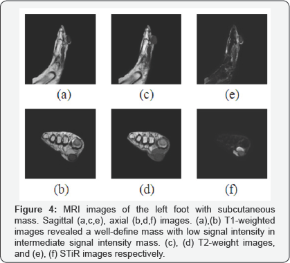 Click here to view Large Figure 4