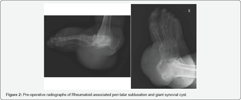 Click here to view Large figure 2