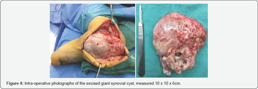 Click here to view Large figure 4