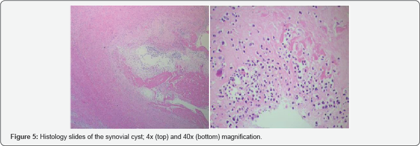 Click here to view Large figure 5