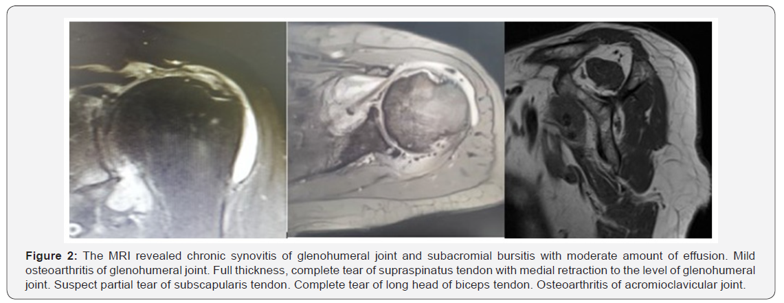 Click here to view Large Figure 2