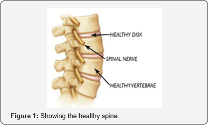 Click here to view Large figure 1
