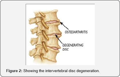 Click here to view Large figure 2