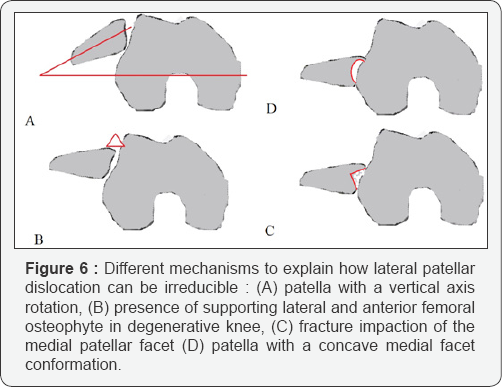 Click here to view Large Figure 6