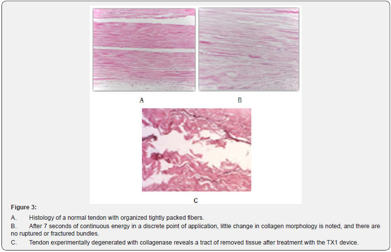 Click here to view Large Figure 3