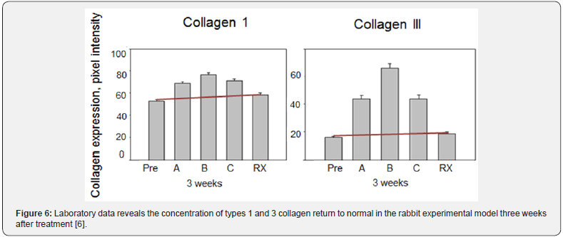 Click here to view Large Figure 6