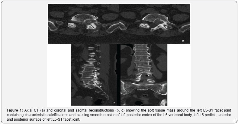 Click here to view Large Figure 1